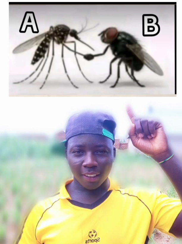 @MÃDÎHÜ💸SK🥶