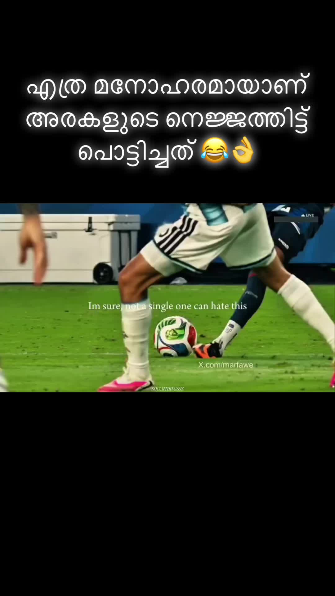 @brazi307
