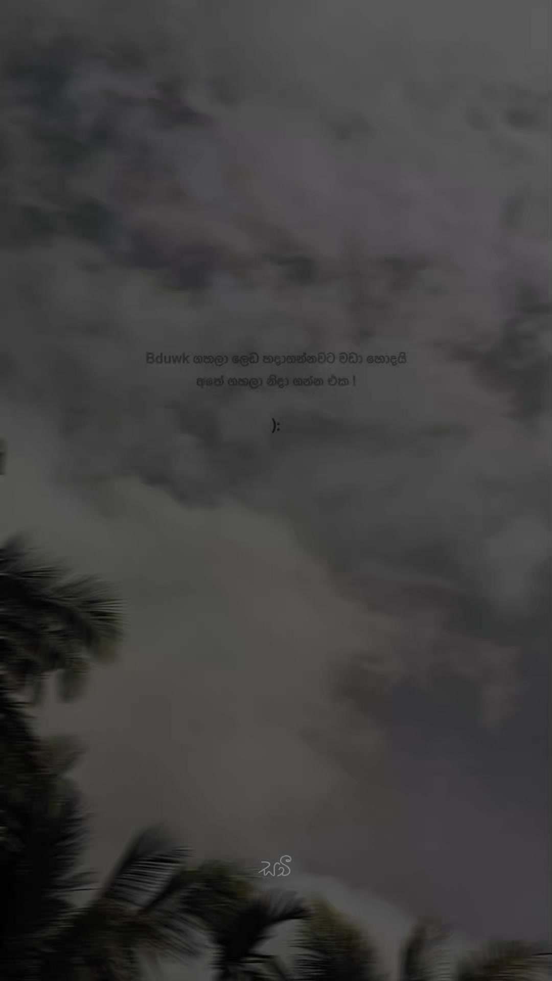 @| 𝐒 𝐚 𝐜 𝐡 𝐢 𝐲   !&iexcl;🤍.ᐟ
