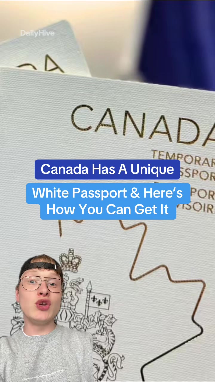 @dailyhivecanada