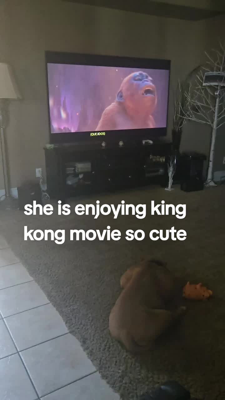 @fairy19