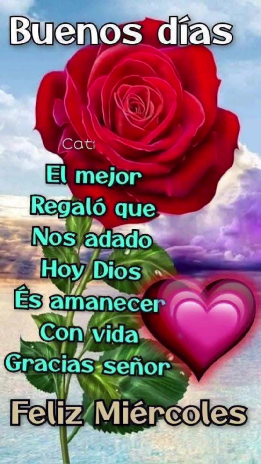 @elvirasvg