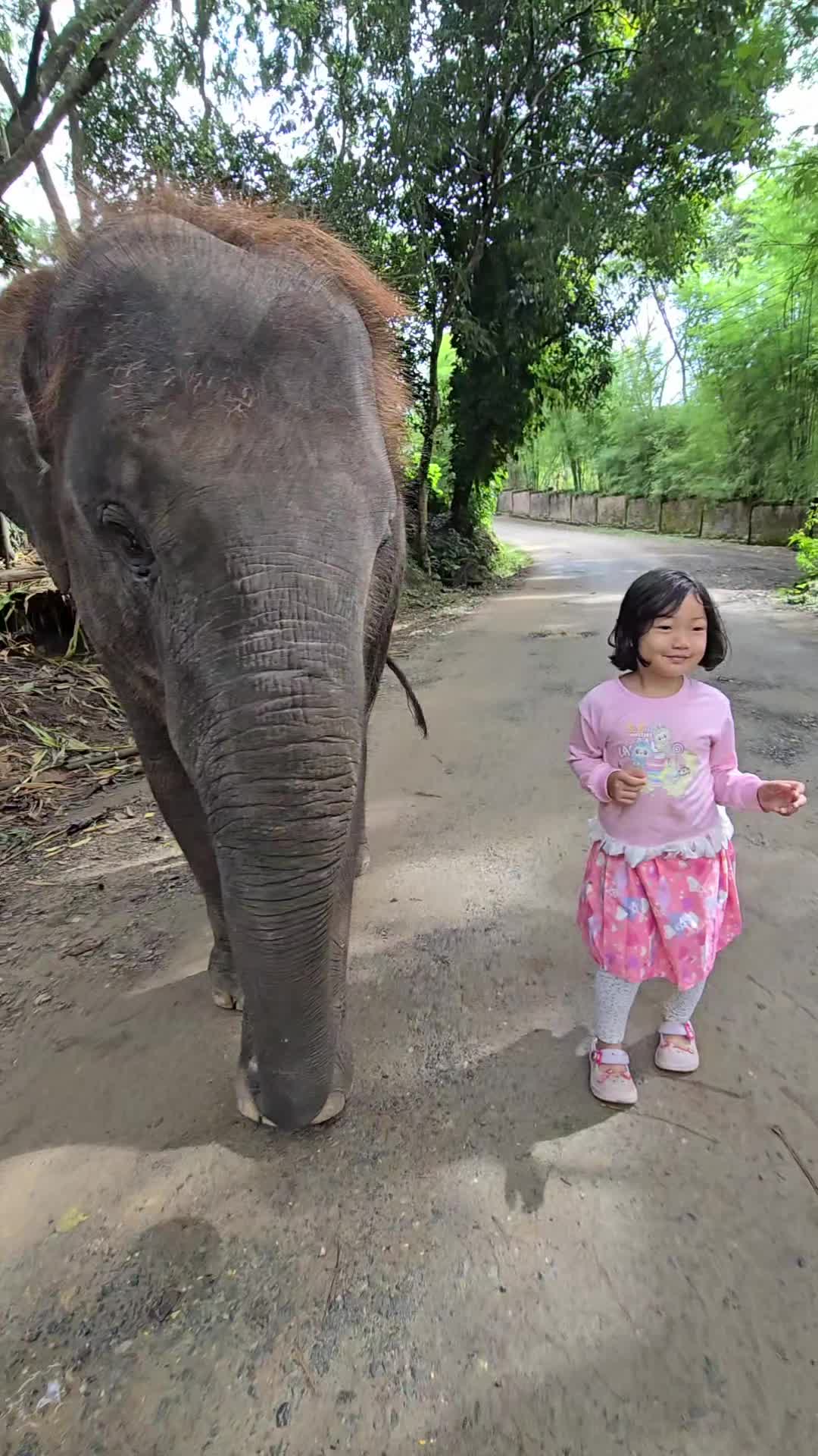 @ควาญแดง พลายภูพิงค์