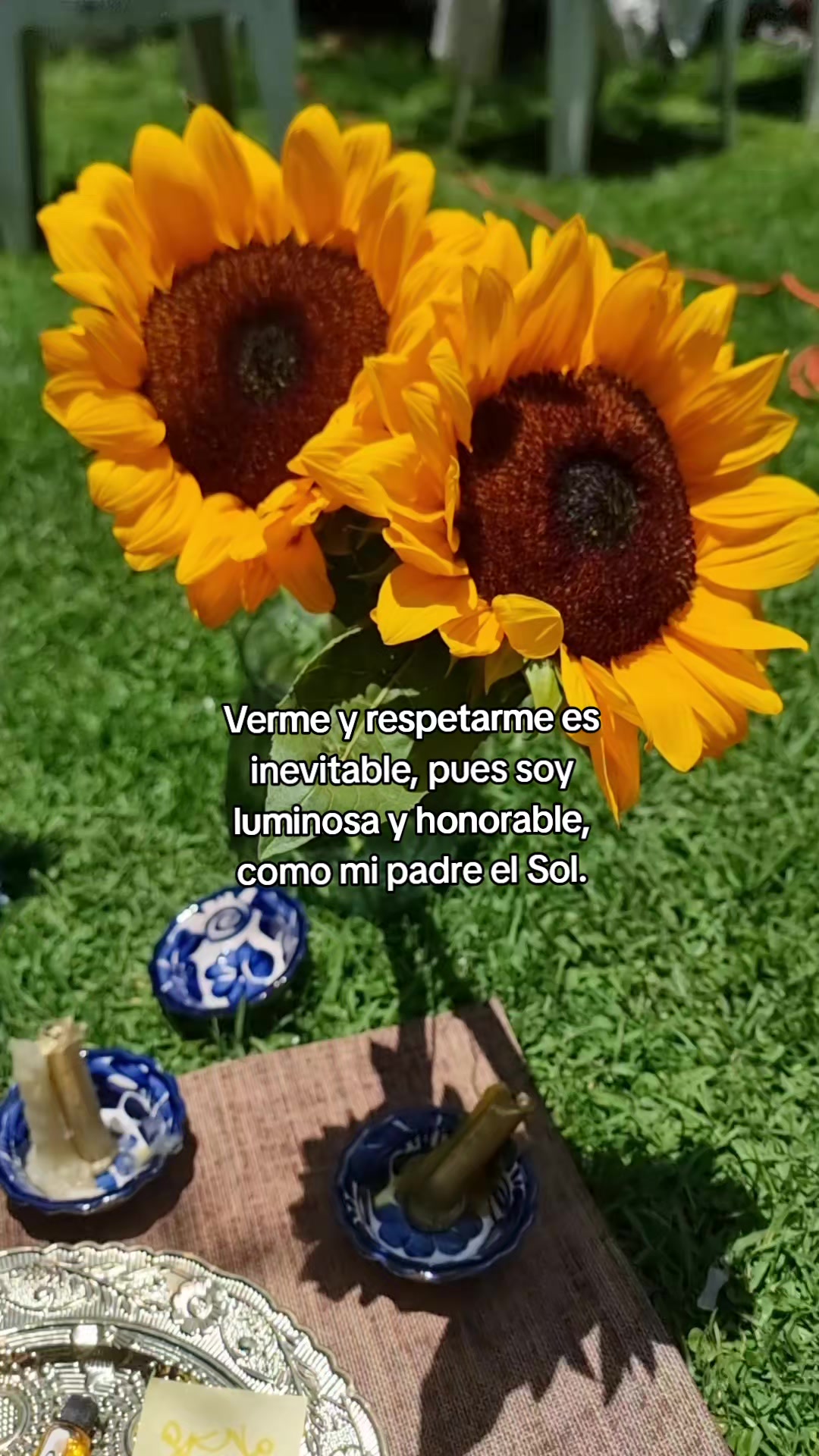 @Cass Astrologia🇵🇸