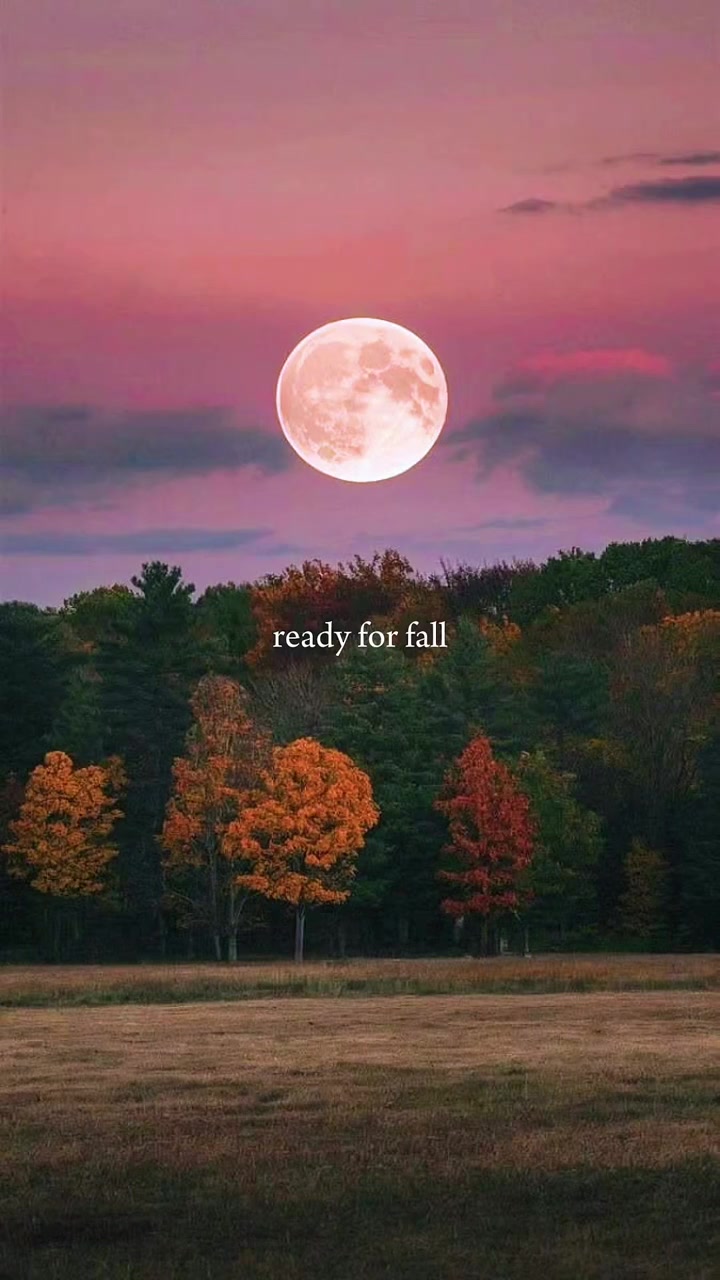 @Pengu ♡