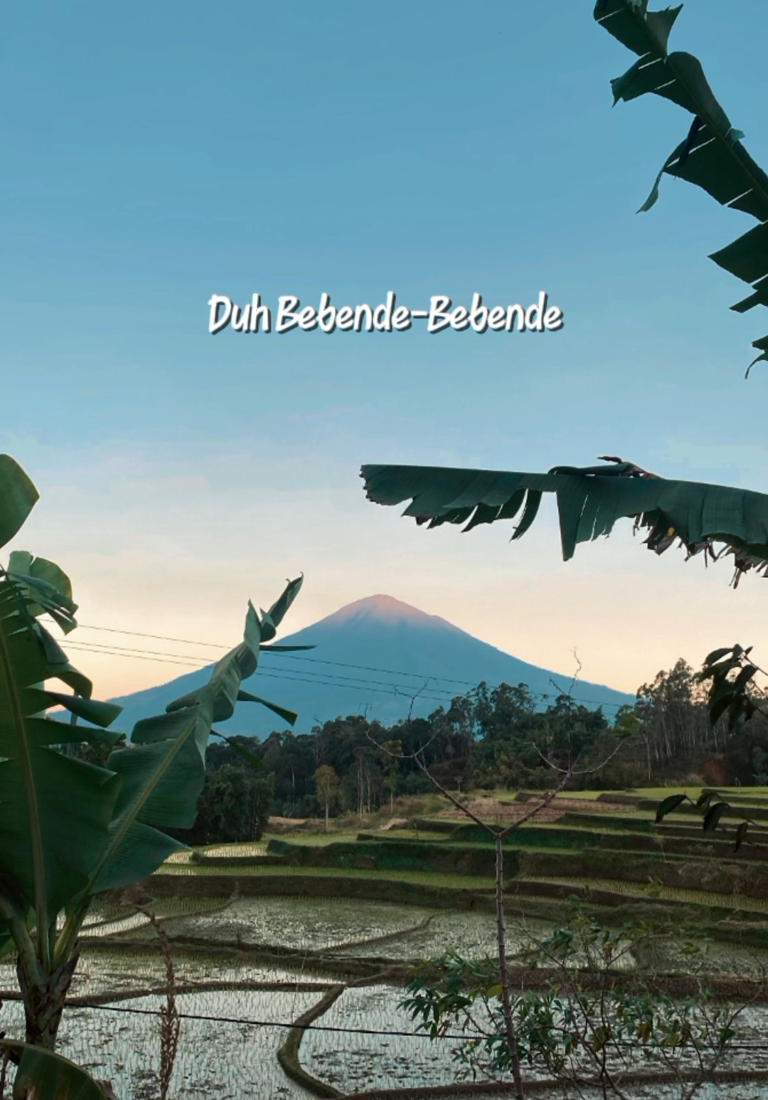 @𝗣𝗲𝘀𝗼𝗻𝗮 𝗗𝗲𝘀𝗮 🍃