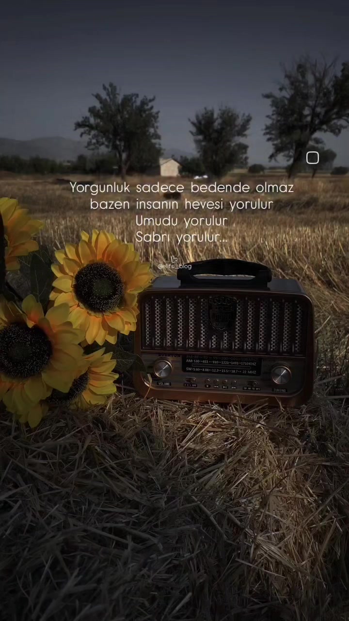 @Mehmet 27