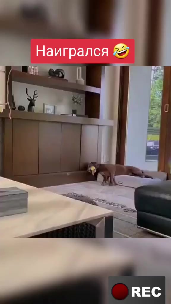 @Лариса