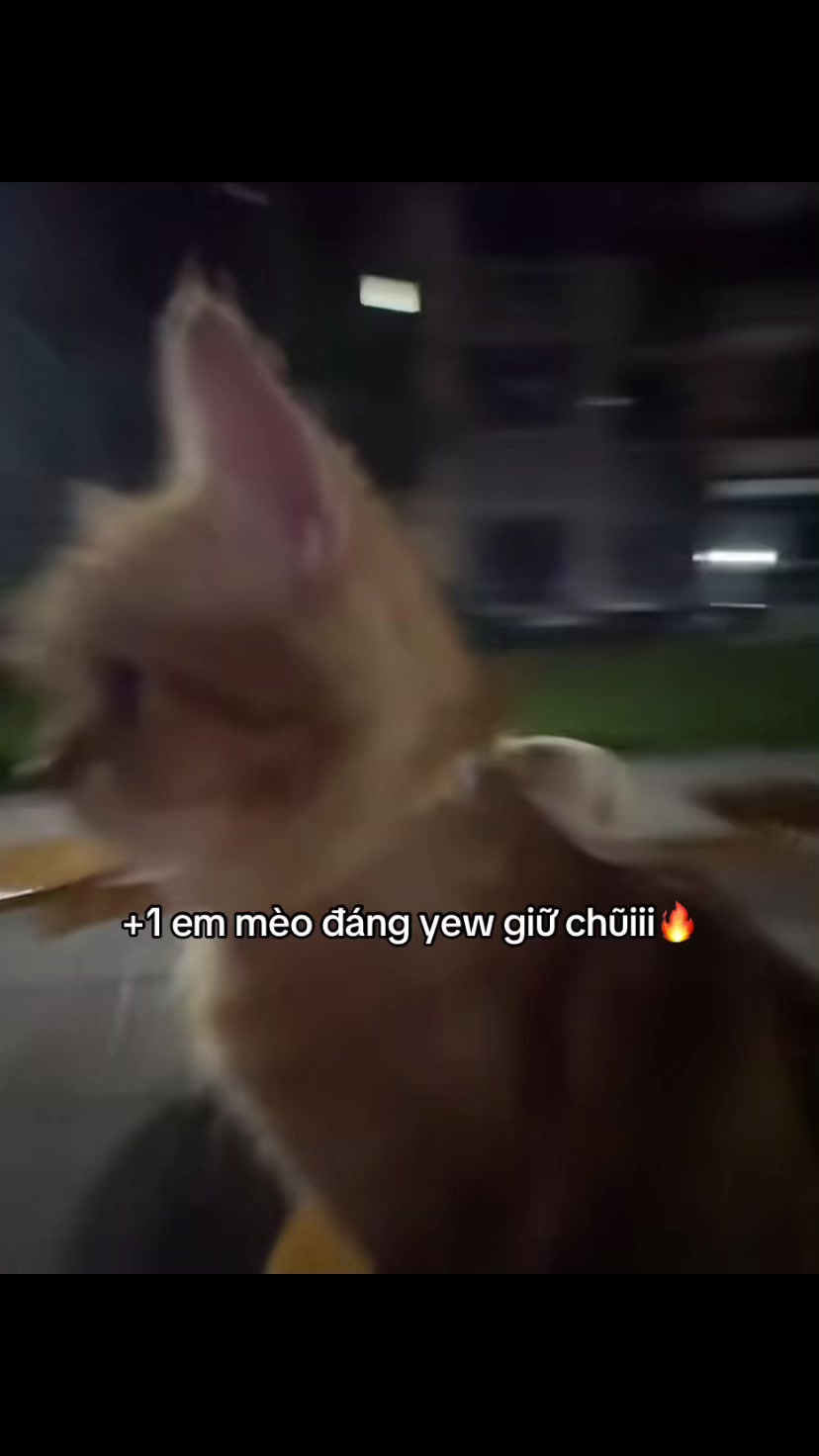 @Đèn Đường Số 12