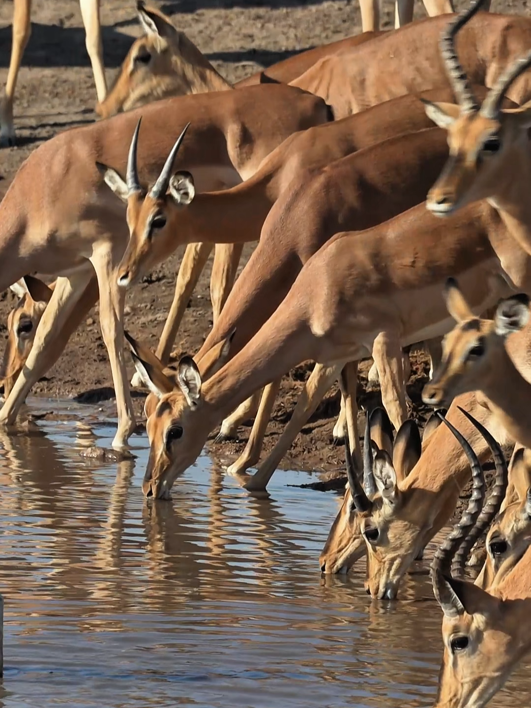 @Madbookings Travel Namibia