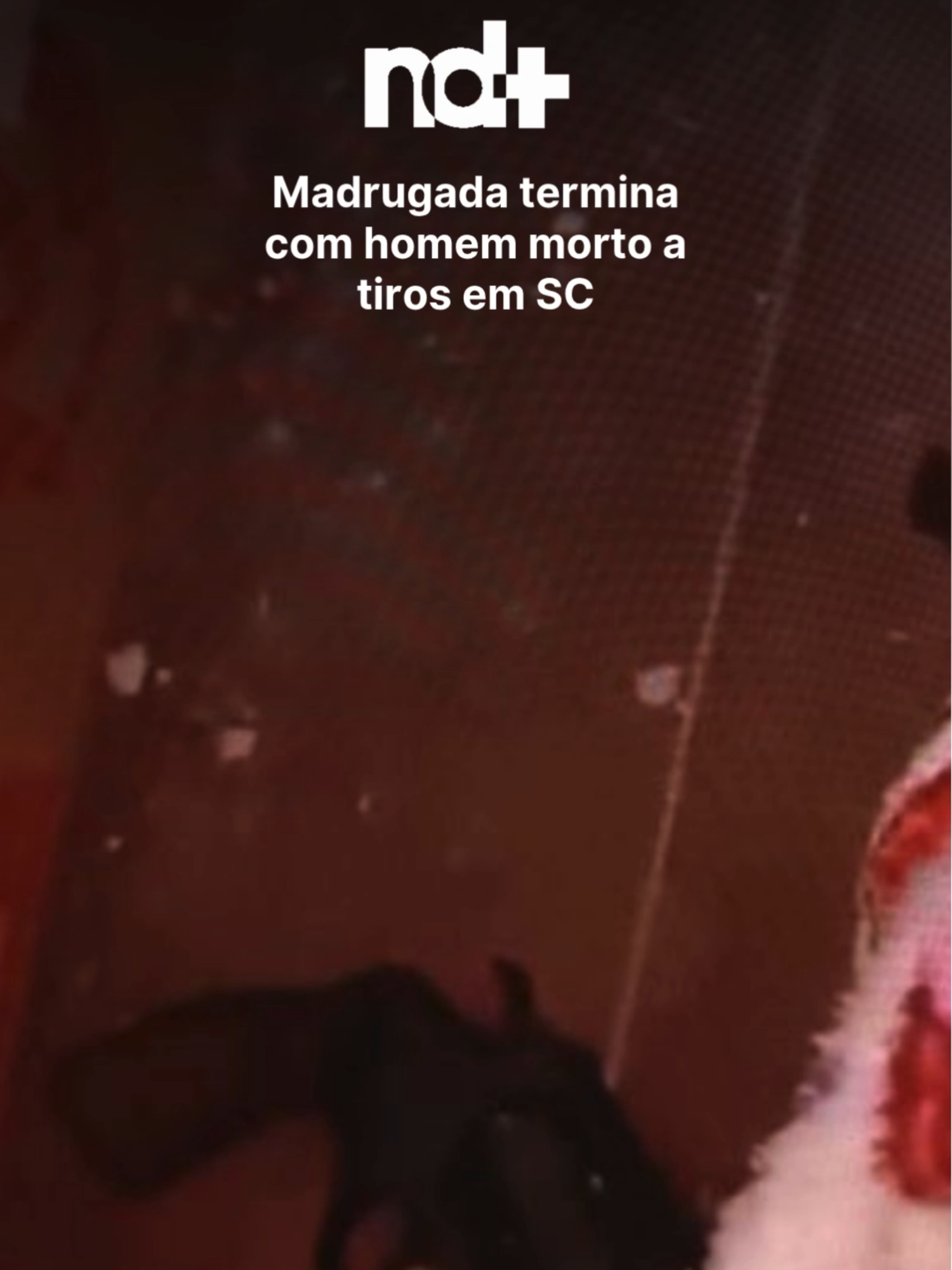@portalndmais