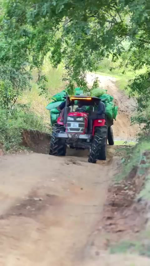 @👤🍃| 𝘃𝗶𝗵𝗮..|🍃👤