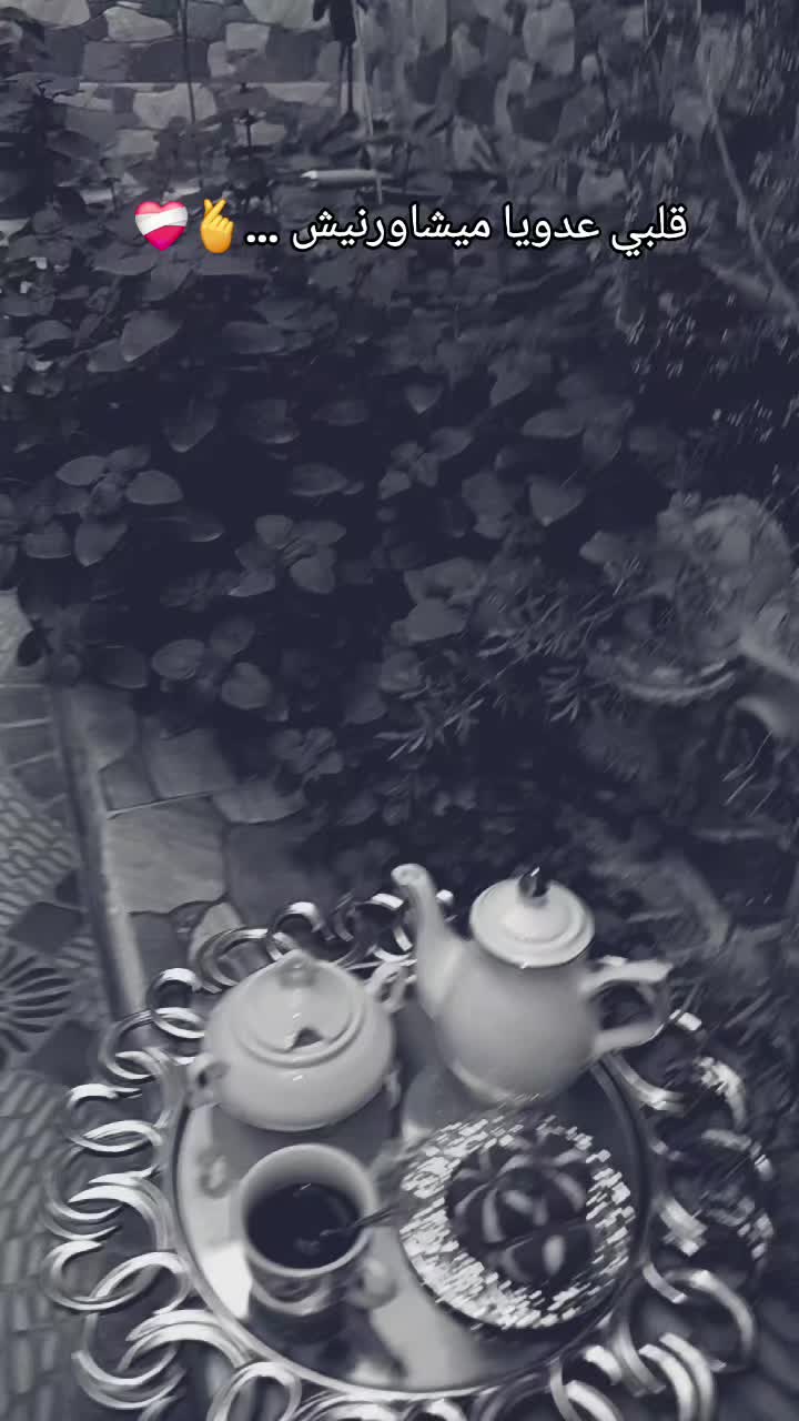 @سلسبيل بلبولة