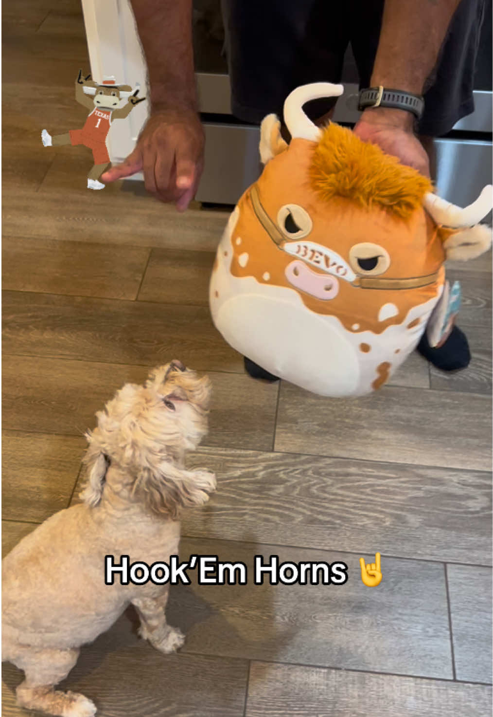 @ChloeCaboodleDoodle