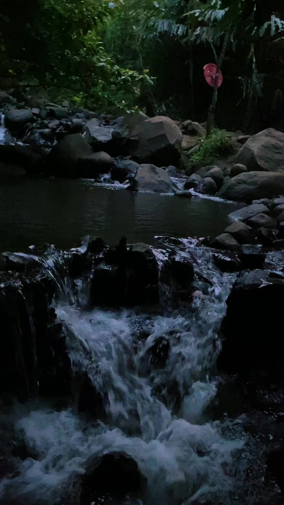 @𝙄𝙫𝙖𝙣 𝙖𝙥