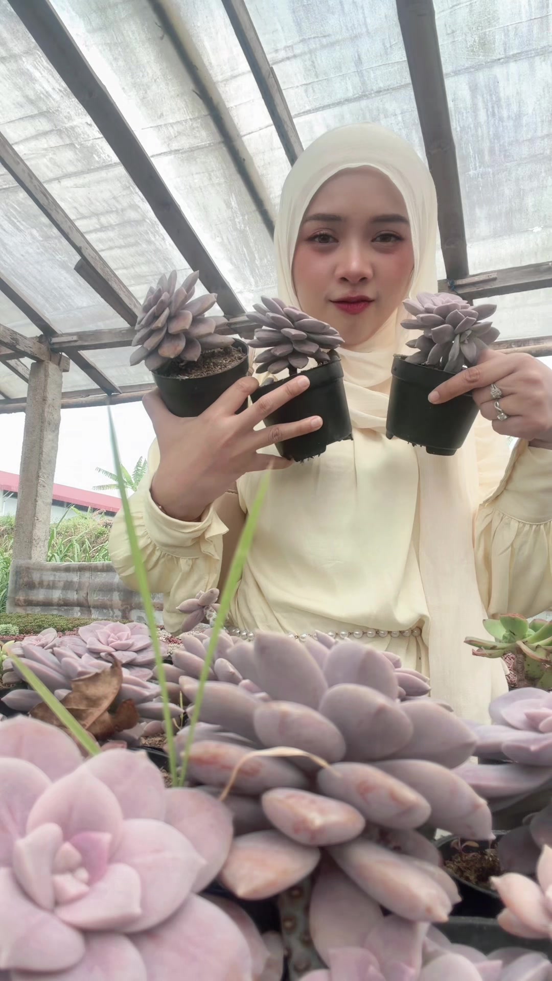 @Vita Aprilia Savitri 🌵