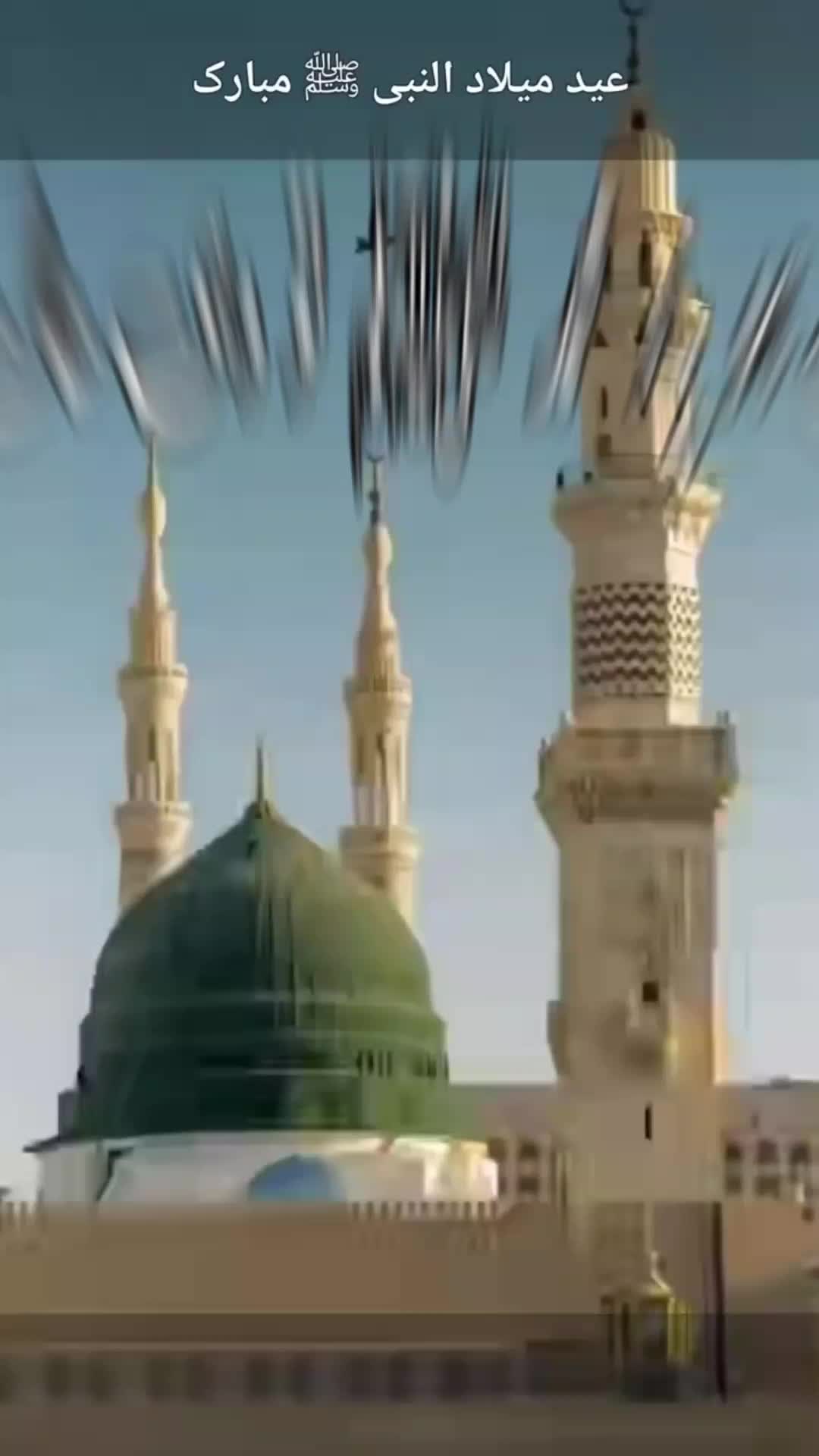 @محمد شفیق
