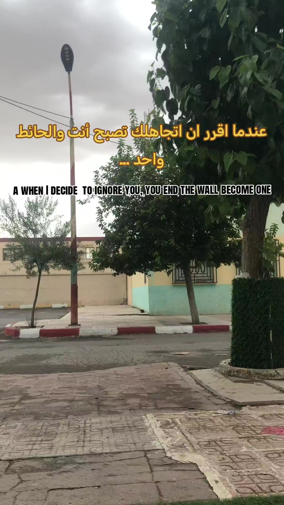 @𝑻𝑪𝑯𝒊-𝑻𝑪𝑯𝑬𝒀 19