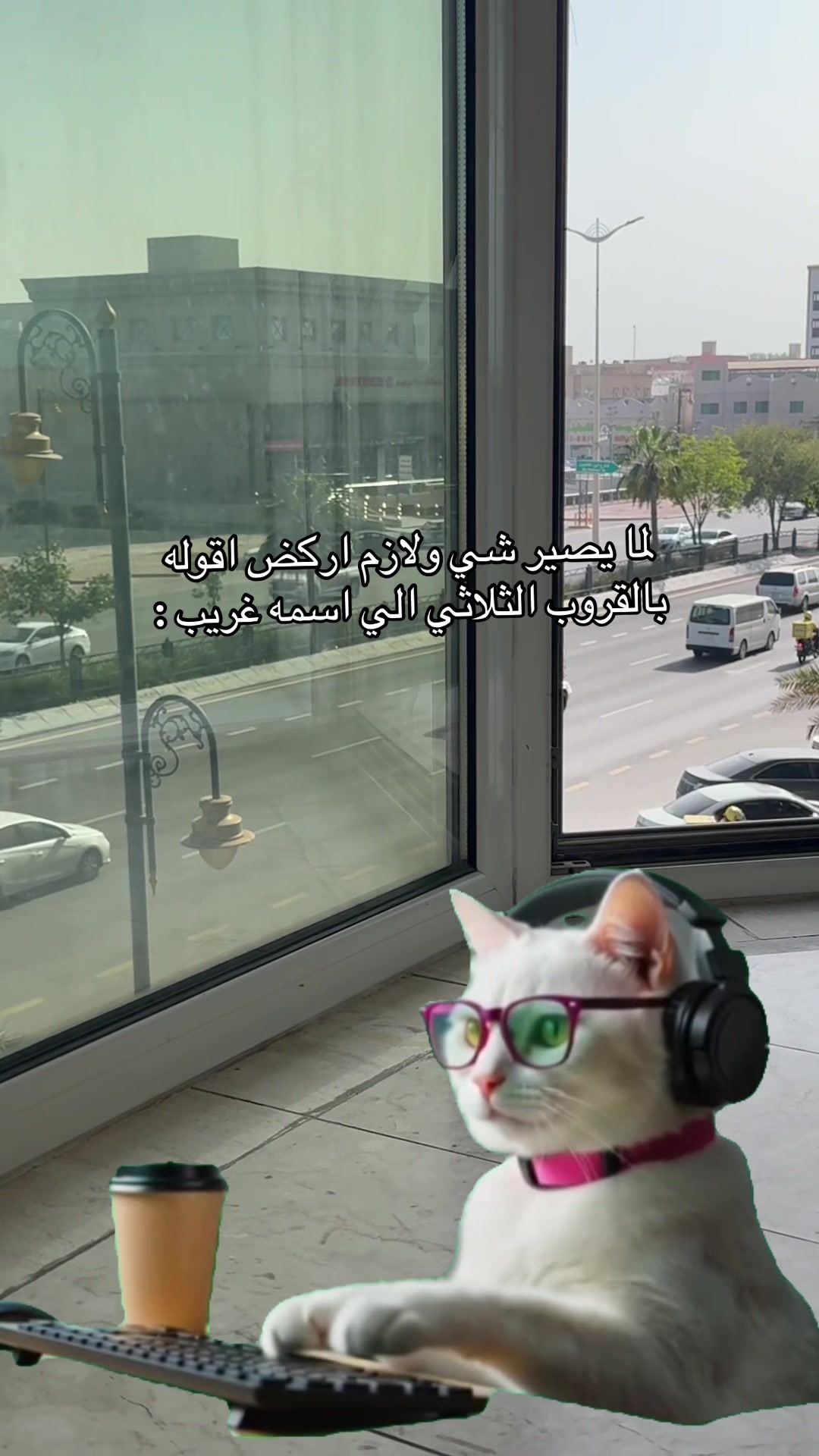@منتصف🪞