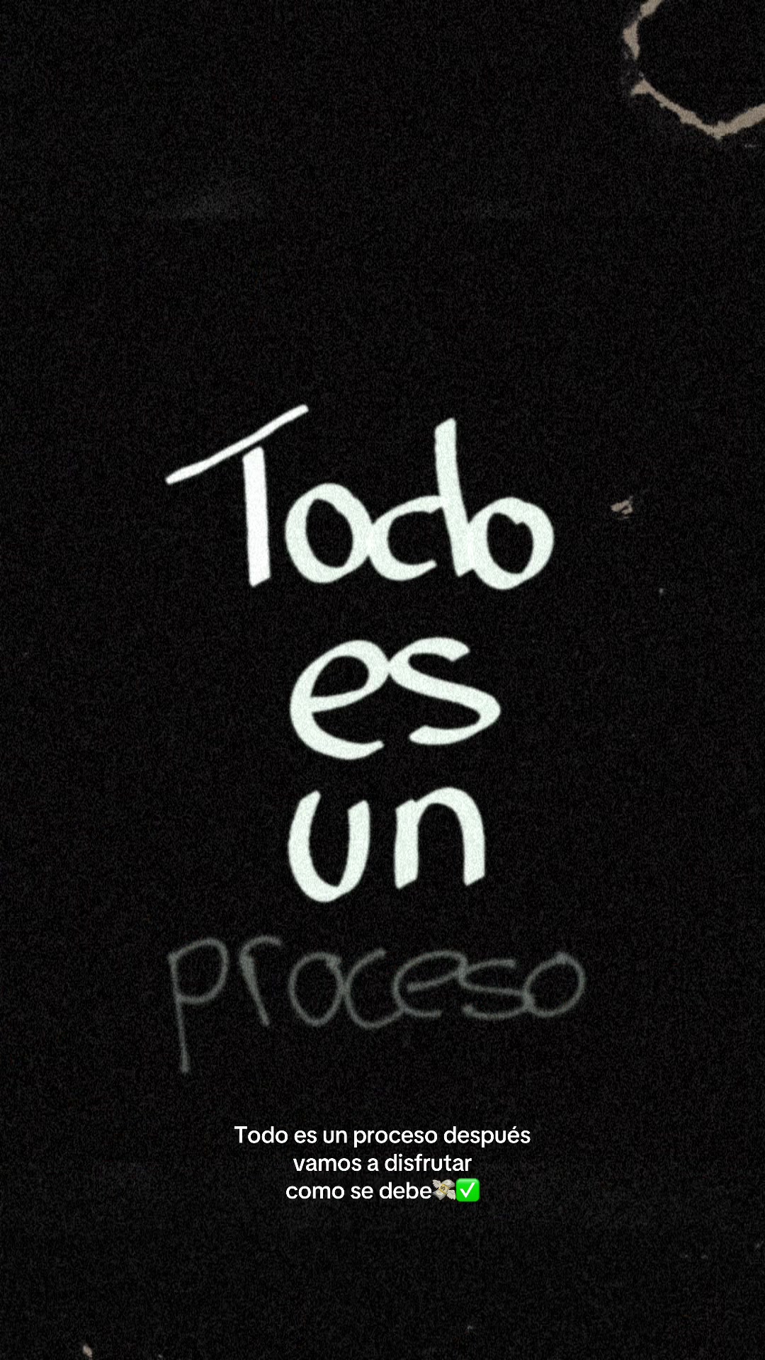 @elguaroes