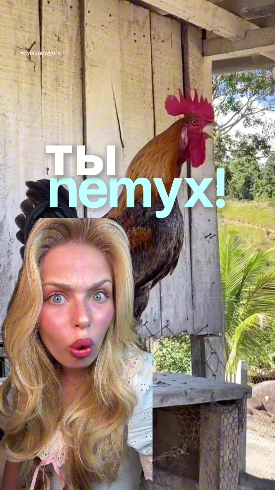 @VIKA.NEWYORK
