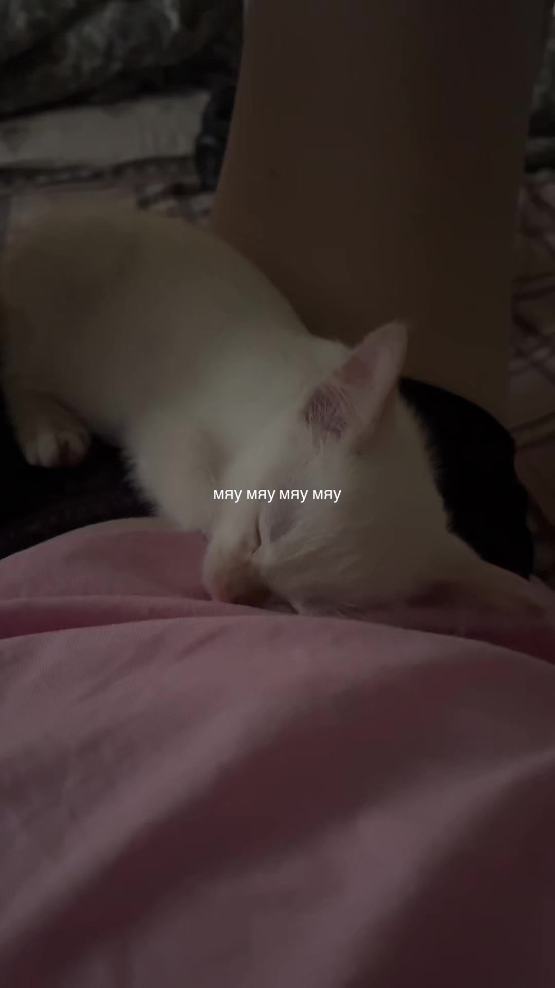 @SXILMI