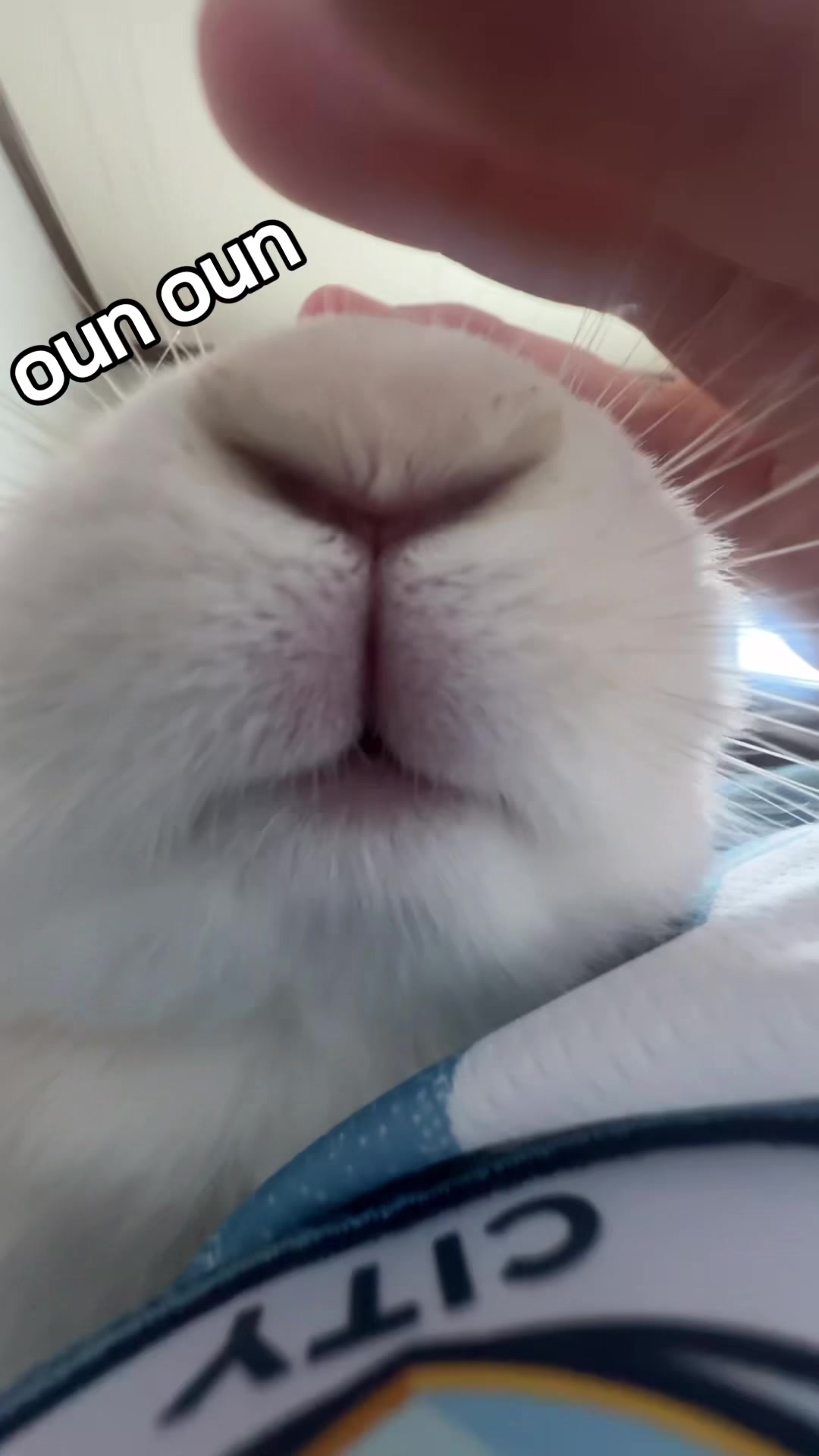 @WONDOO