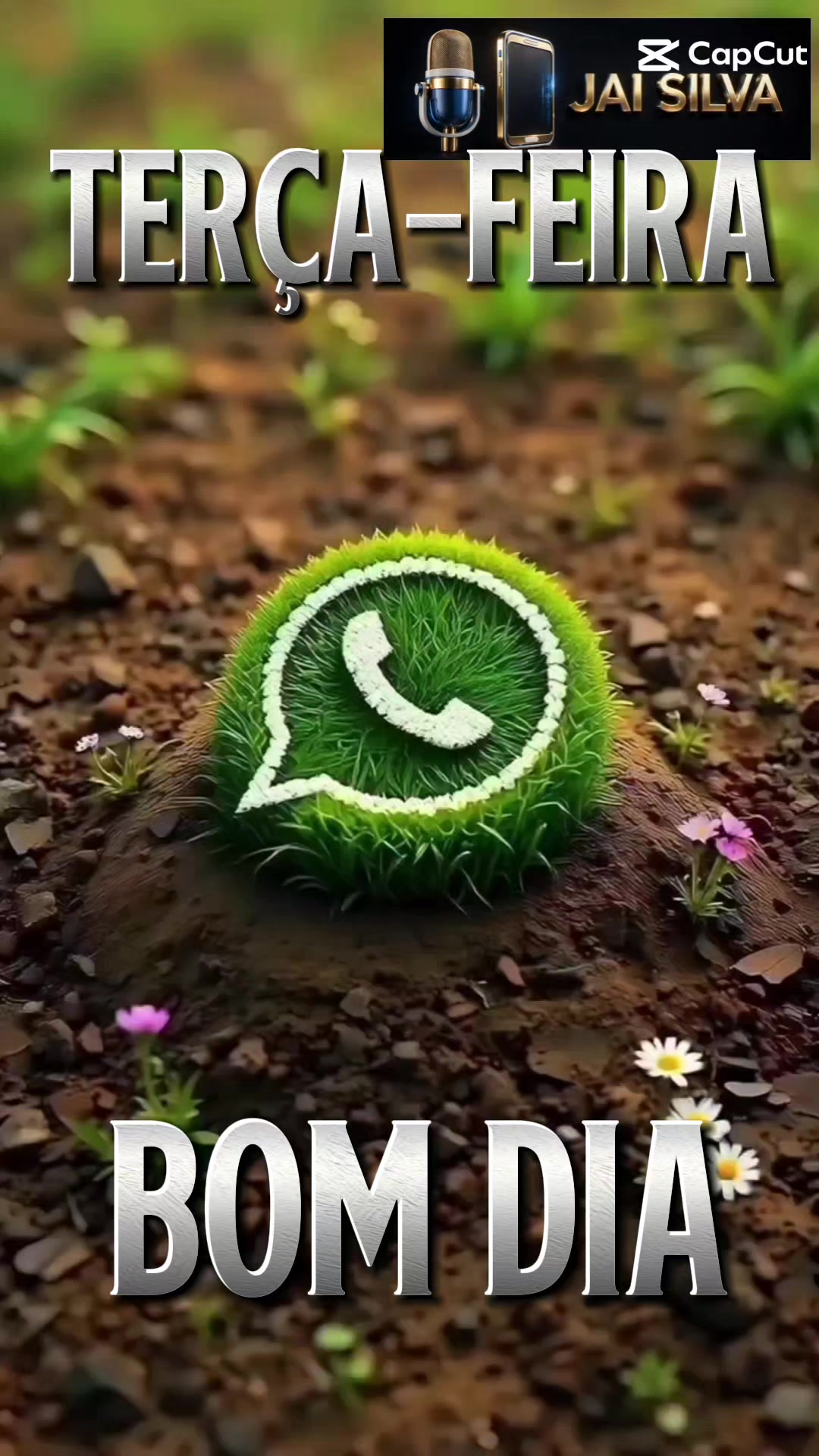 @jai9041