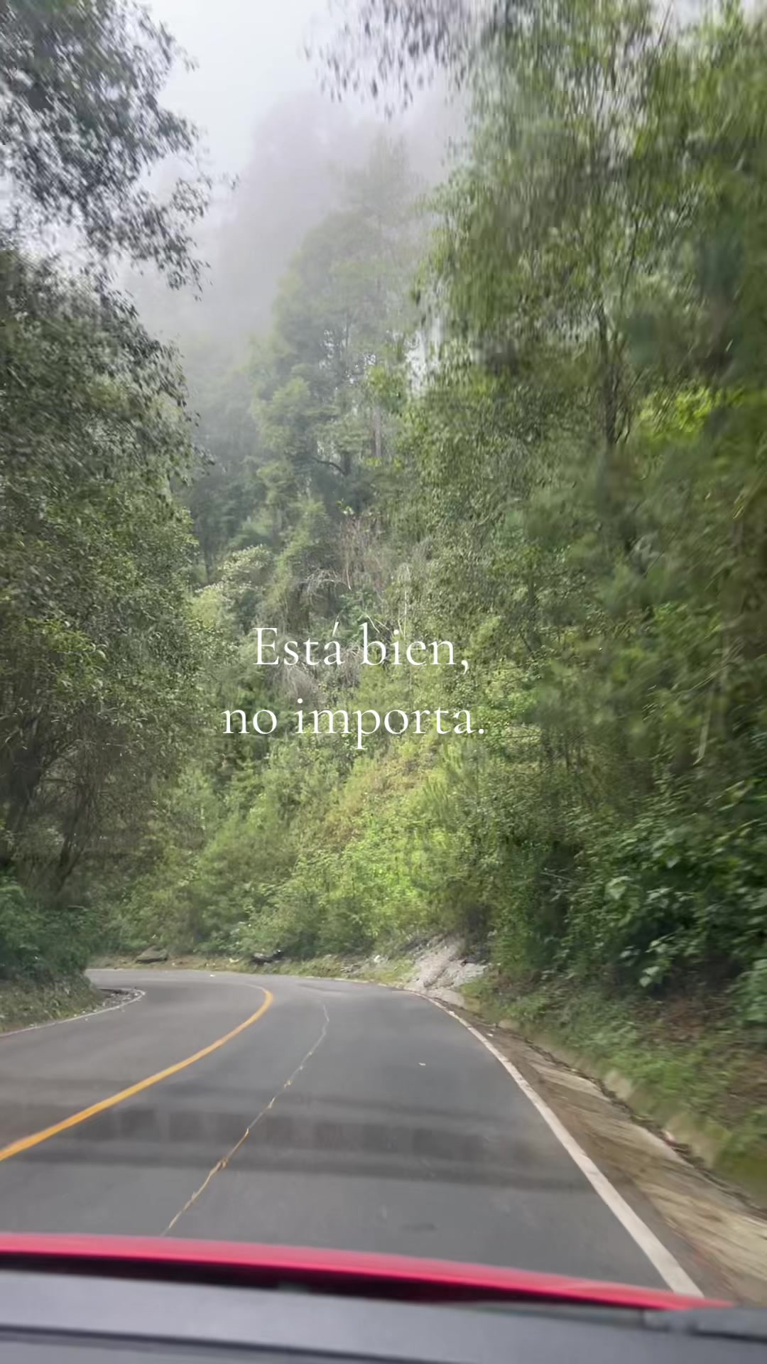 @Elyza 🫶🏼