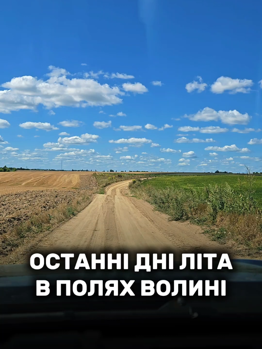 @Travelino