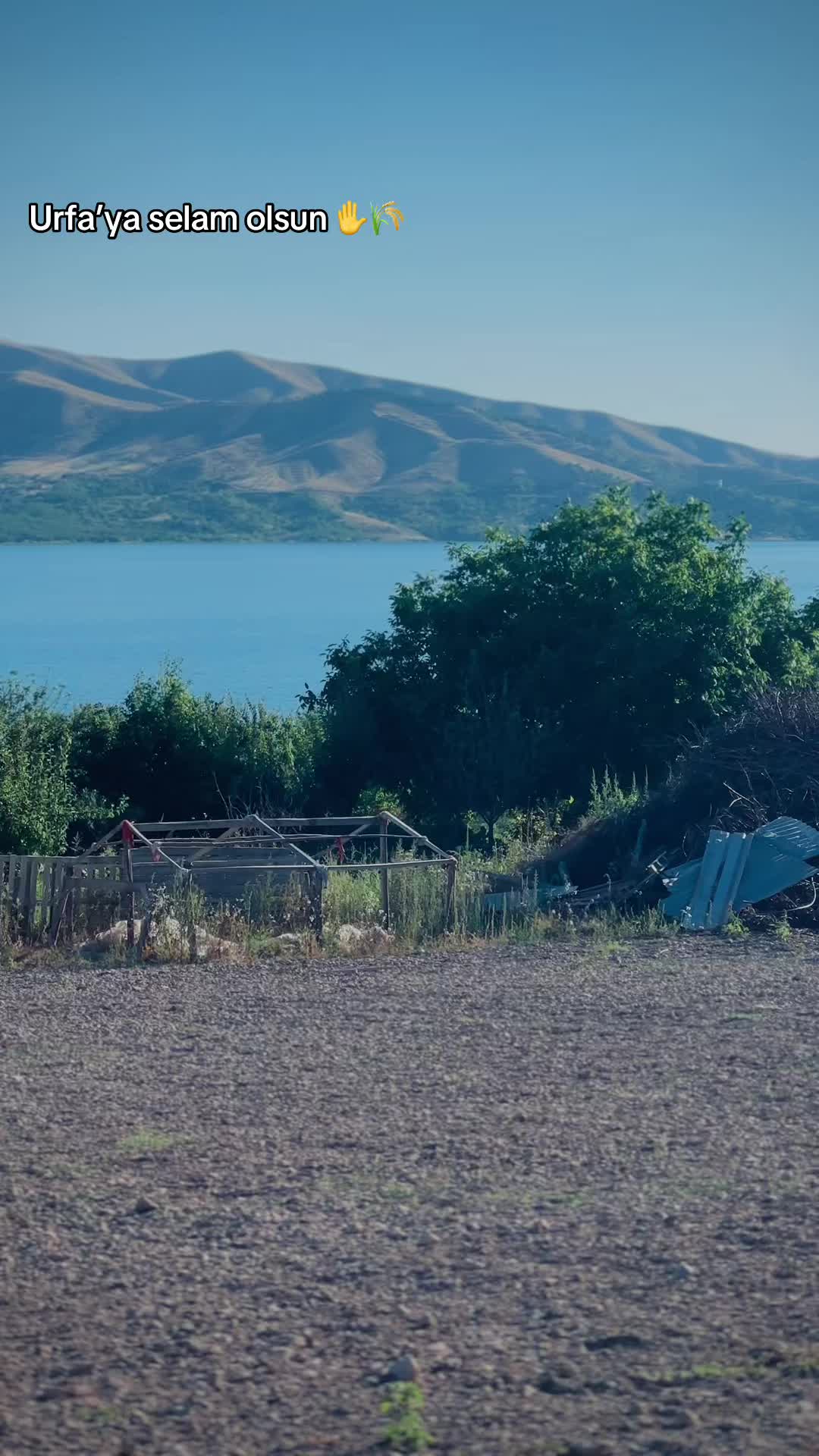@cemilheluloglu