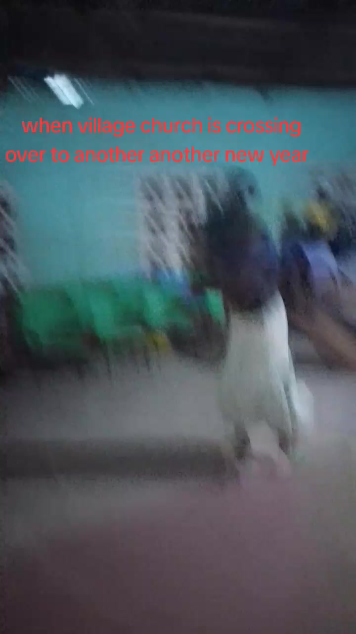 @joki djos