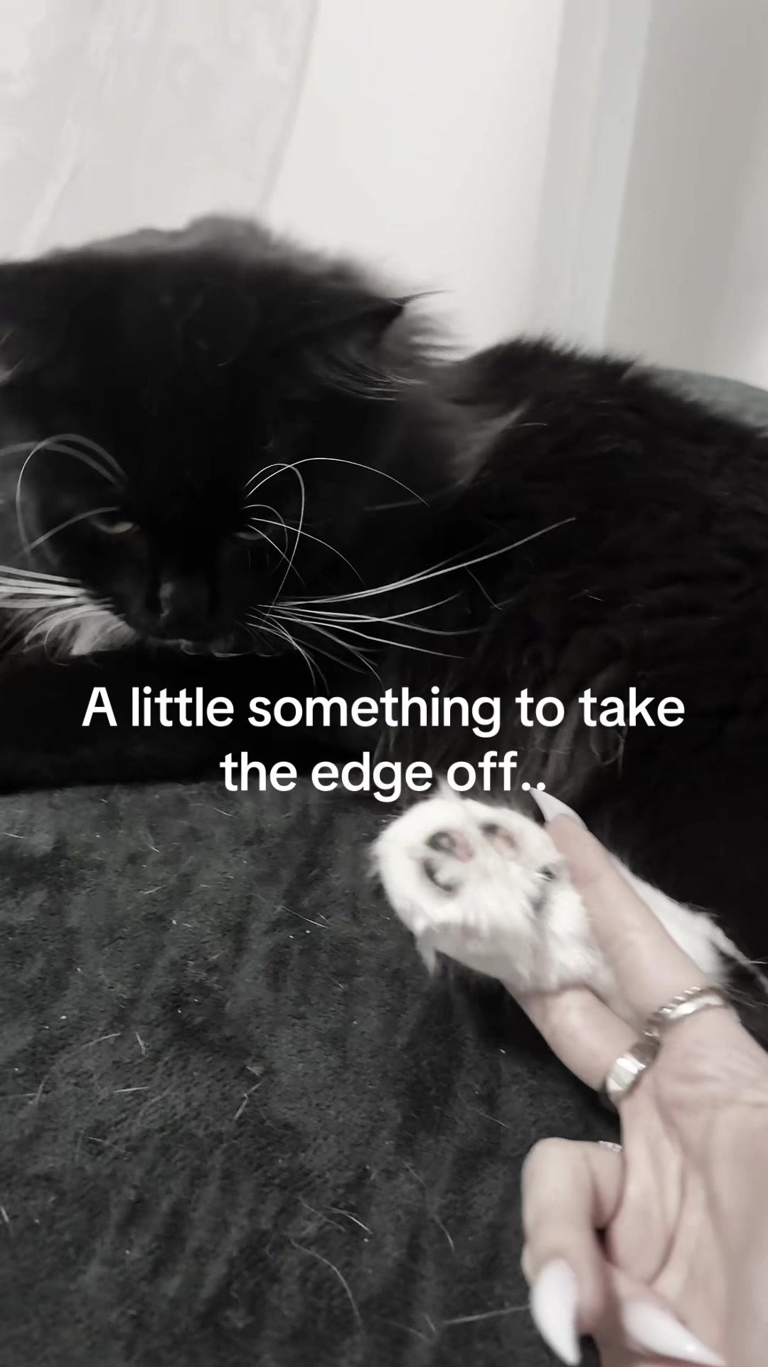 @𝕸𝖆𝖈𝖐𝖎𝖊🖤