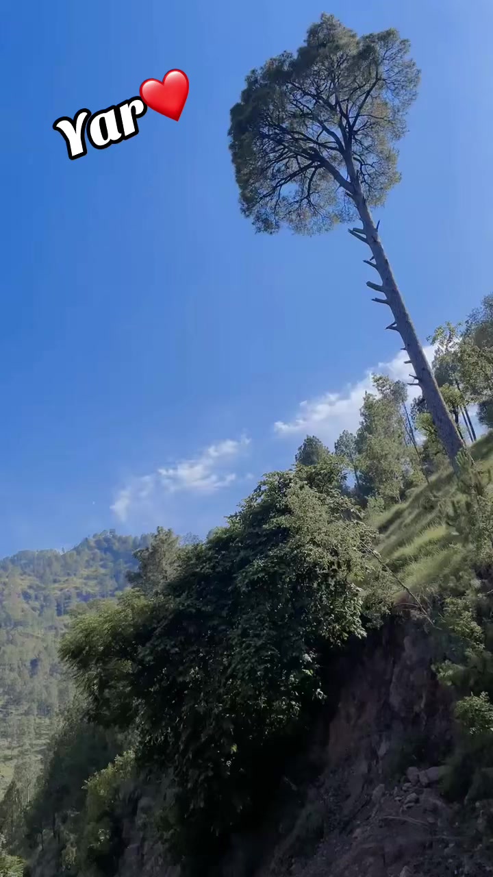 @نادان دل اعوان بادشاہ🦅👑🔥✌️