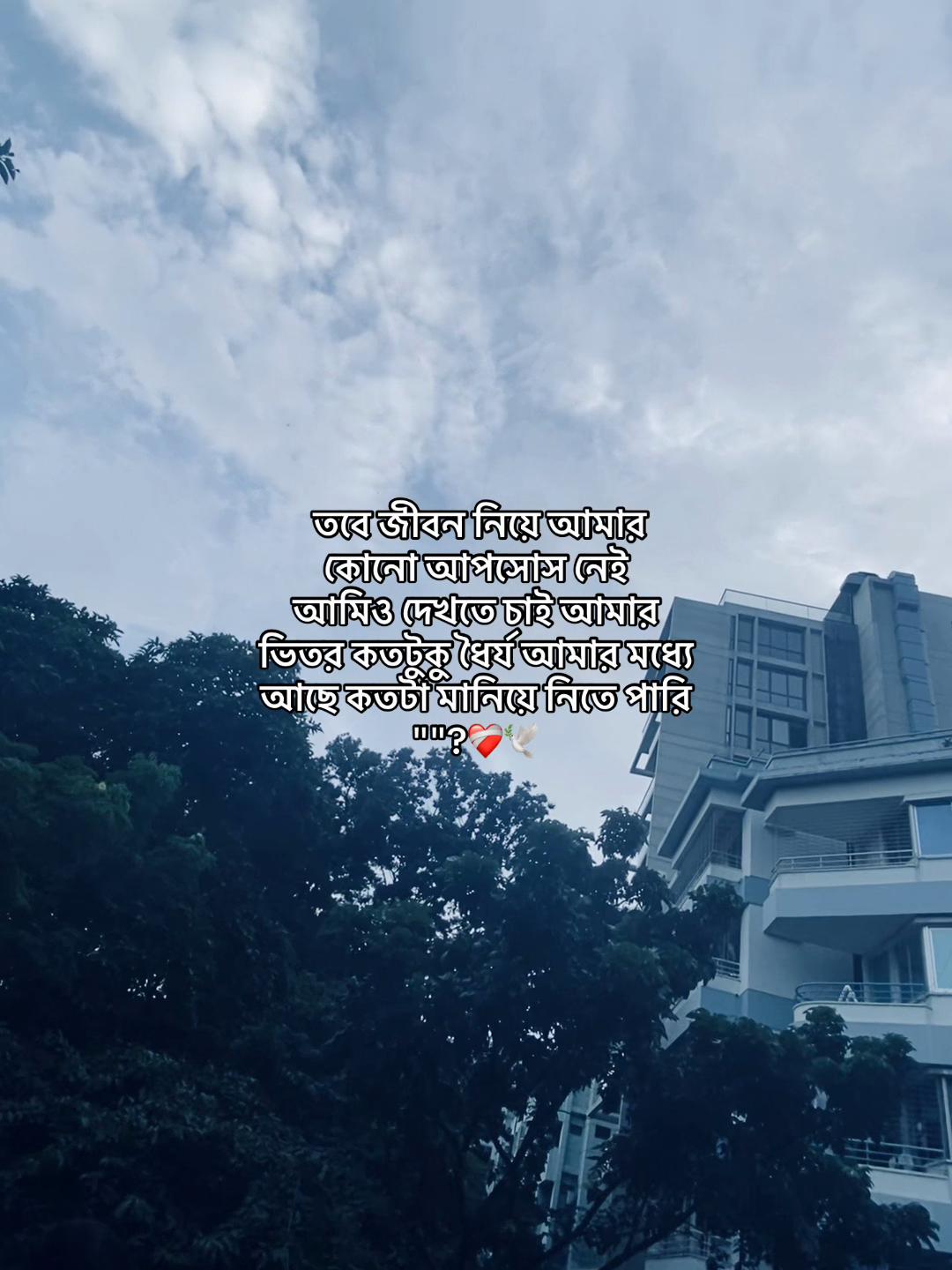 @R&icirc; &ETH;ǔ M&atilde;l&icirc;k