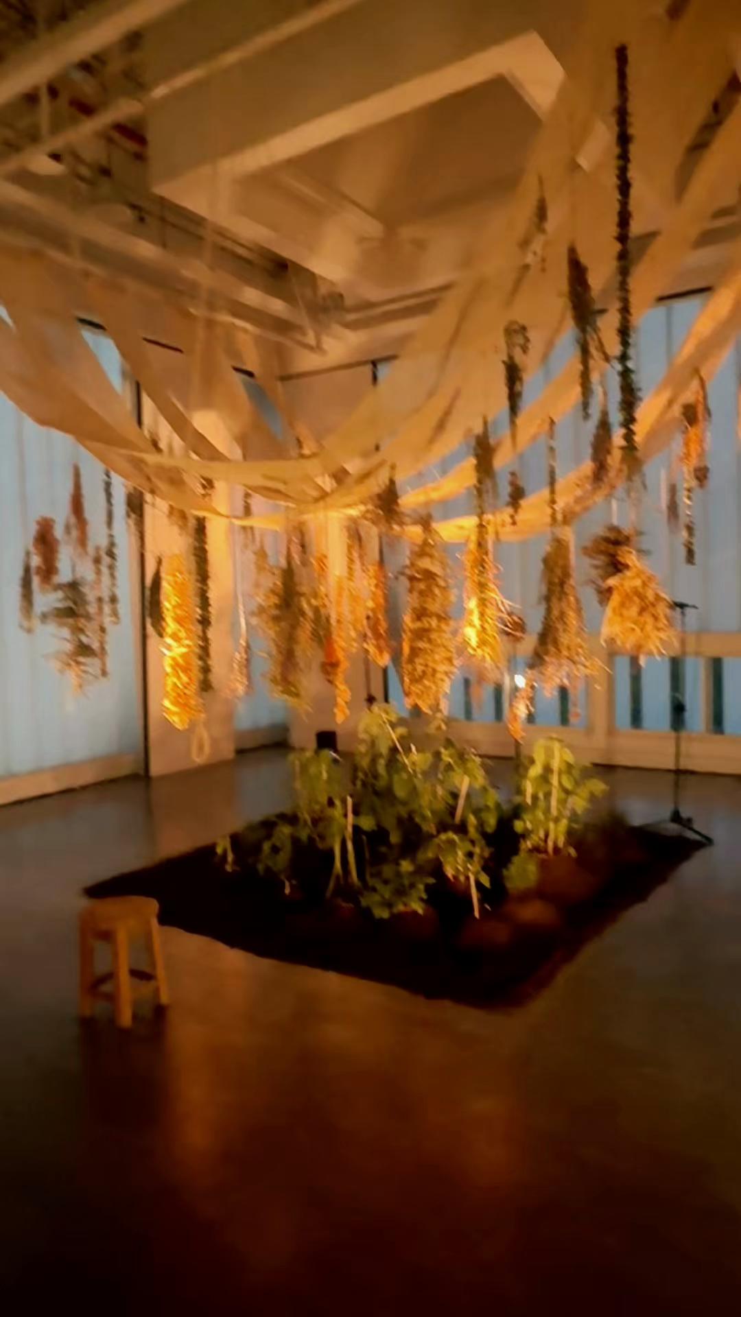 @Dal&iacute; Sosa 🦋