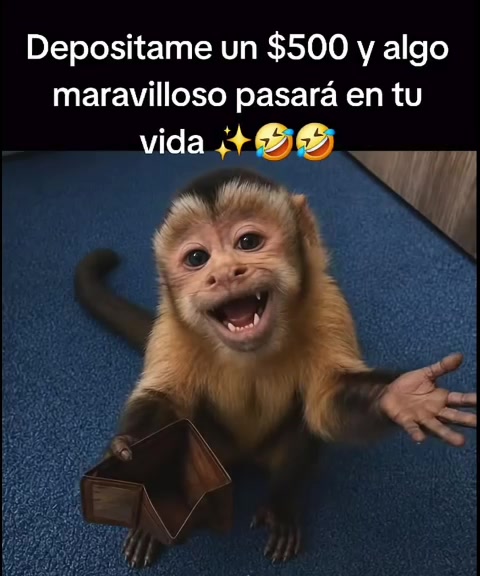 @noticiero562