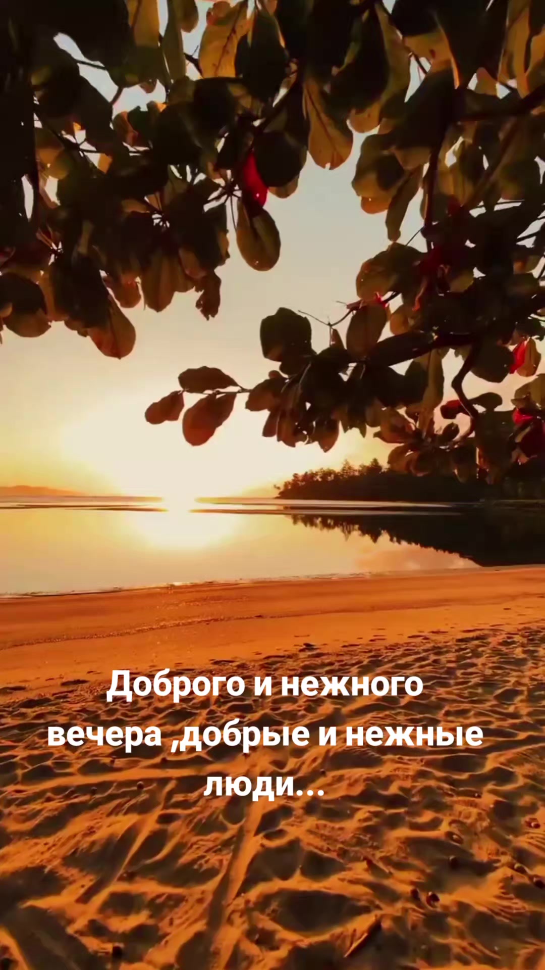 @Мила Телец.