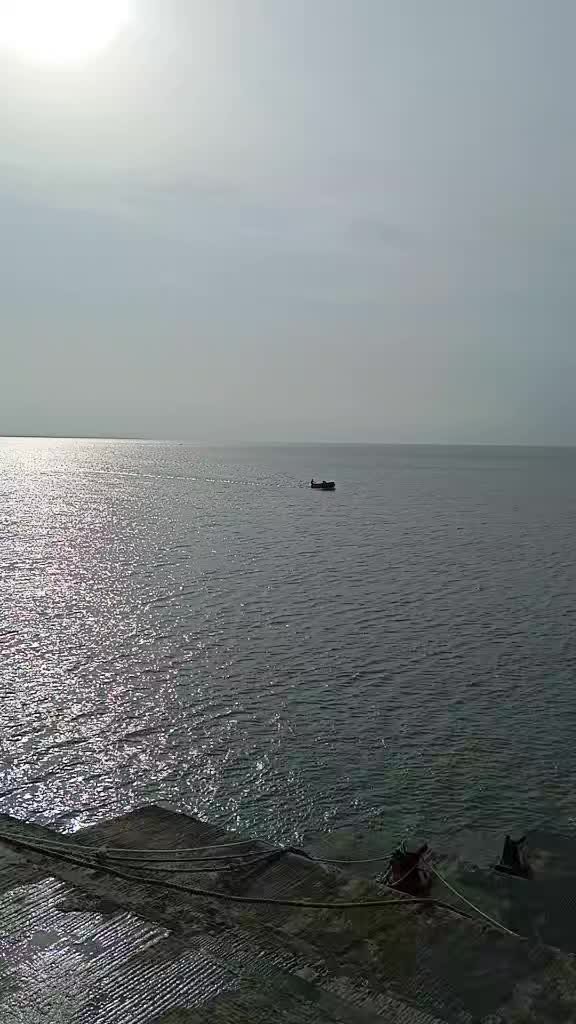 @ফুল🌸🌼