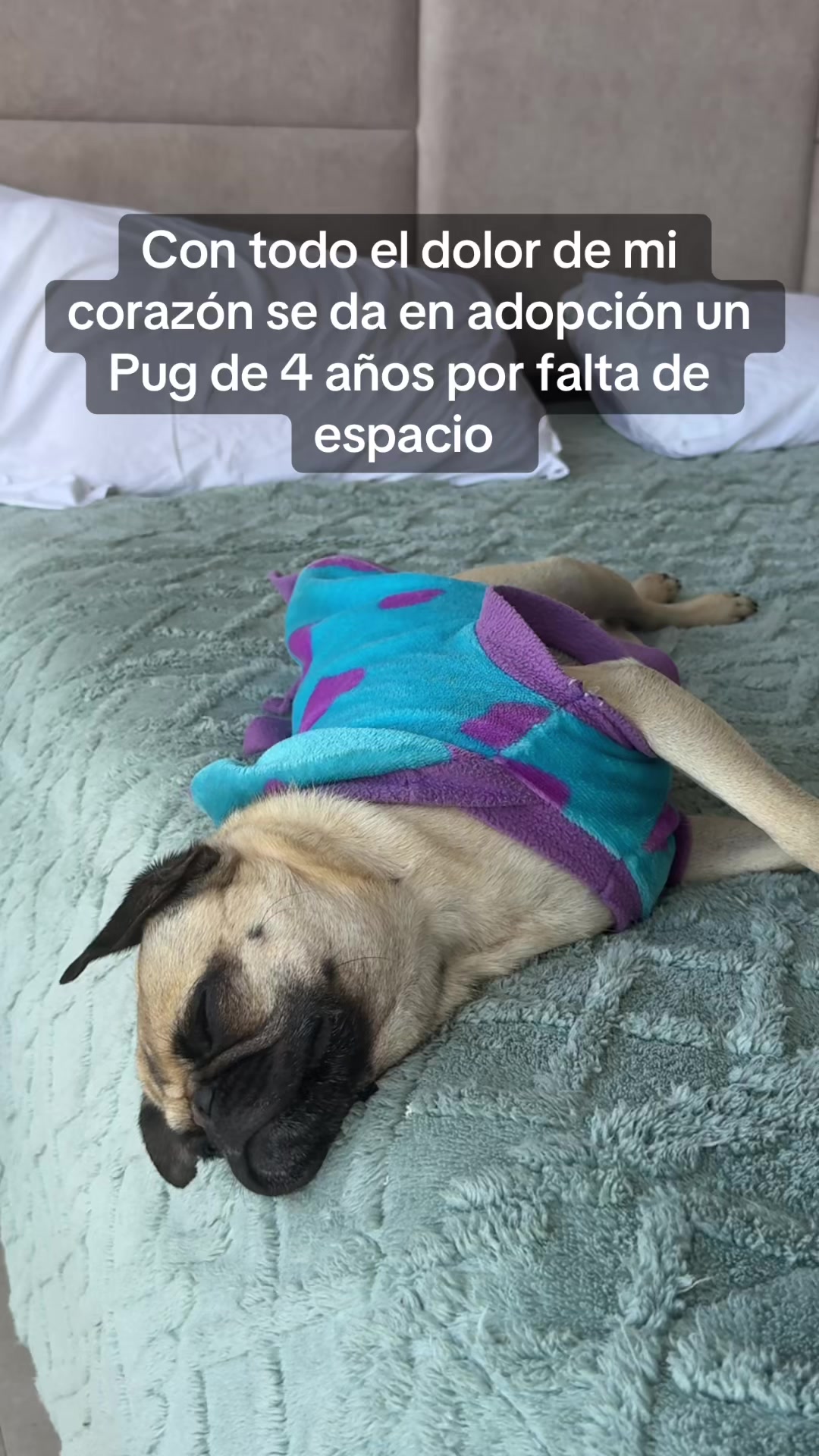 @Alexa&elcarnalchiss