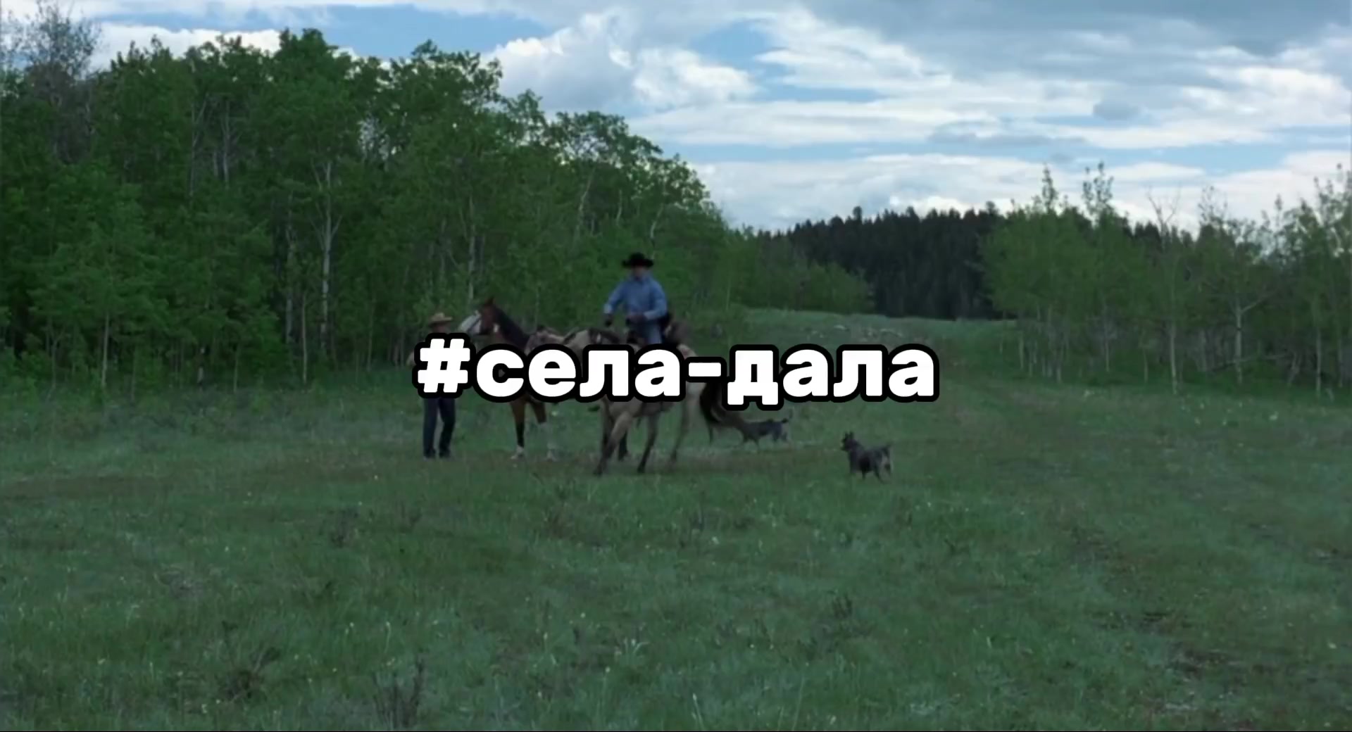 @соня слипихед