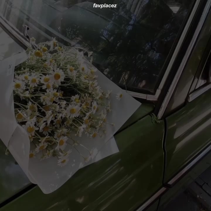 @favplacez
