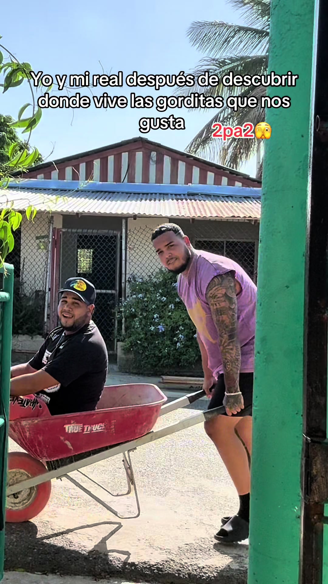 @🎡🇵🇷El VECINO🇩🇴🎡🌸