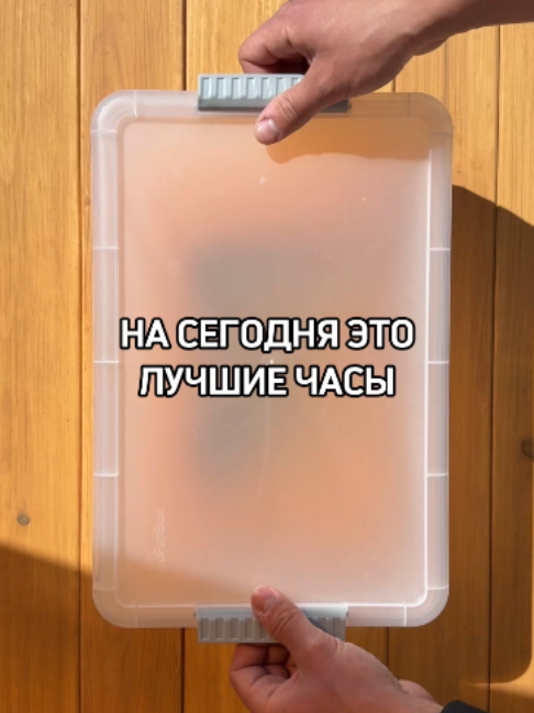 @BulbaTime