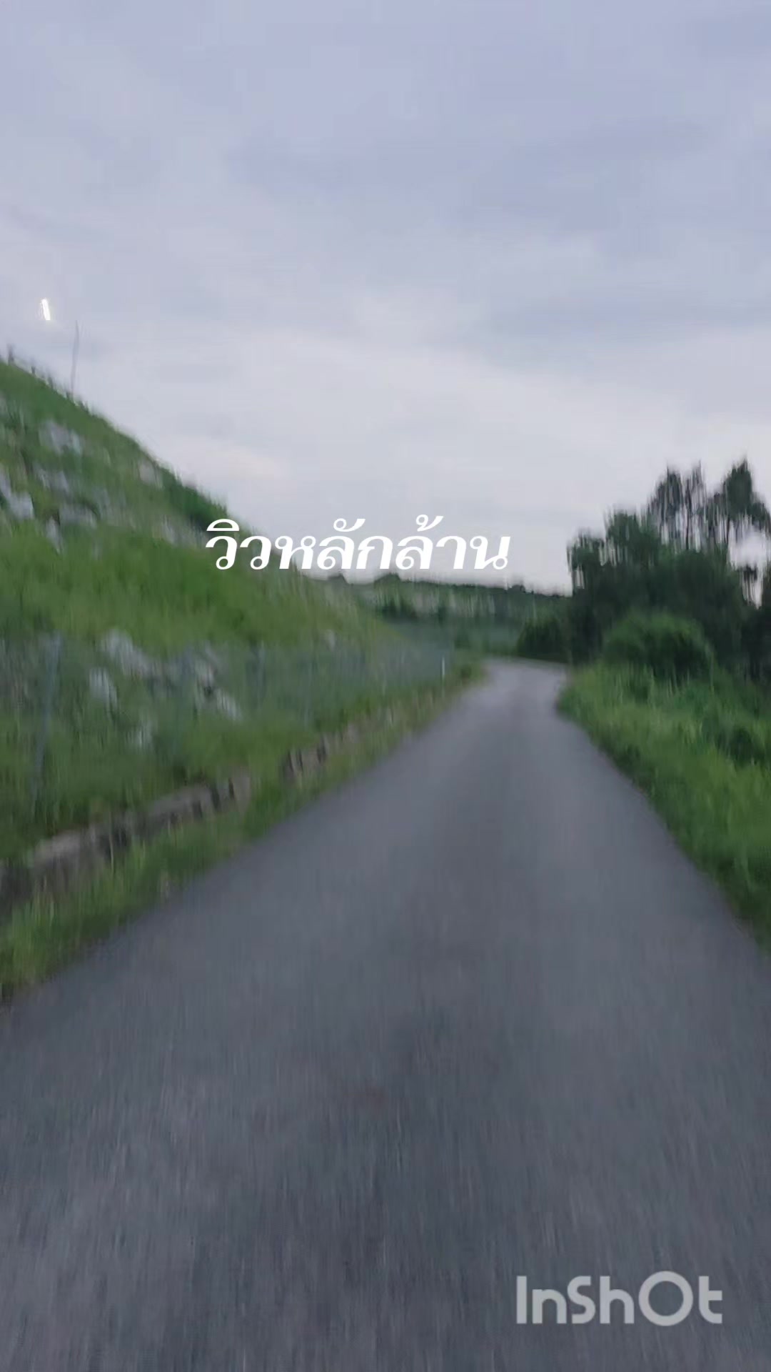 @UtainH