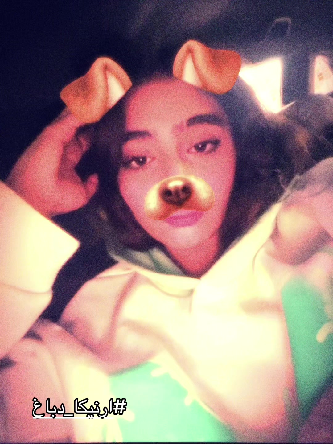 @themehrsa⭐️