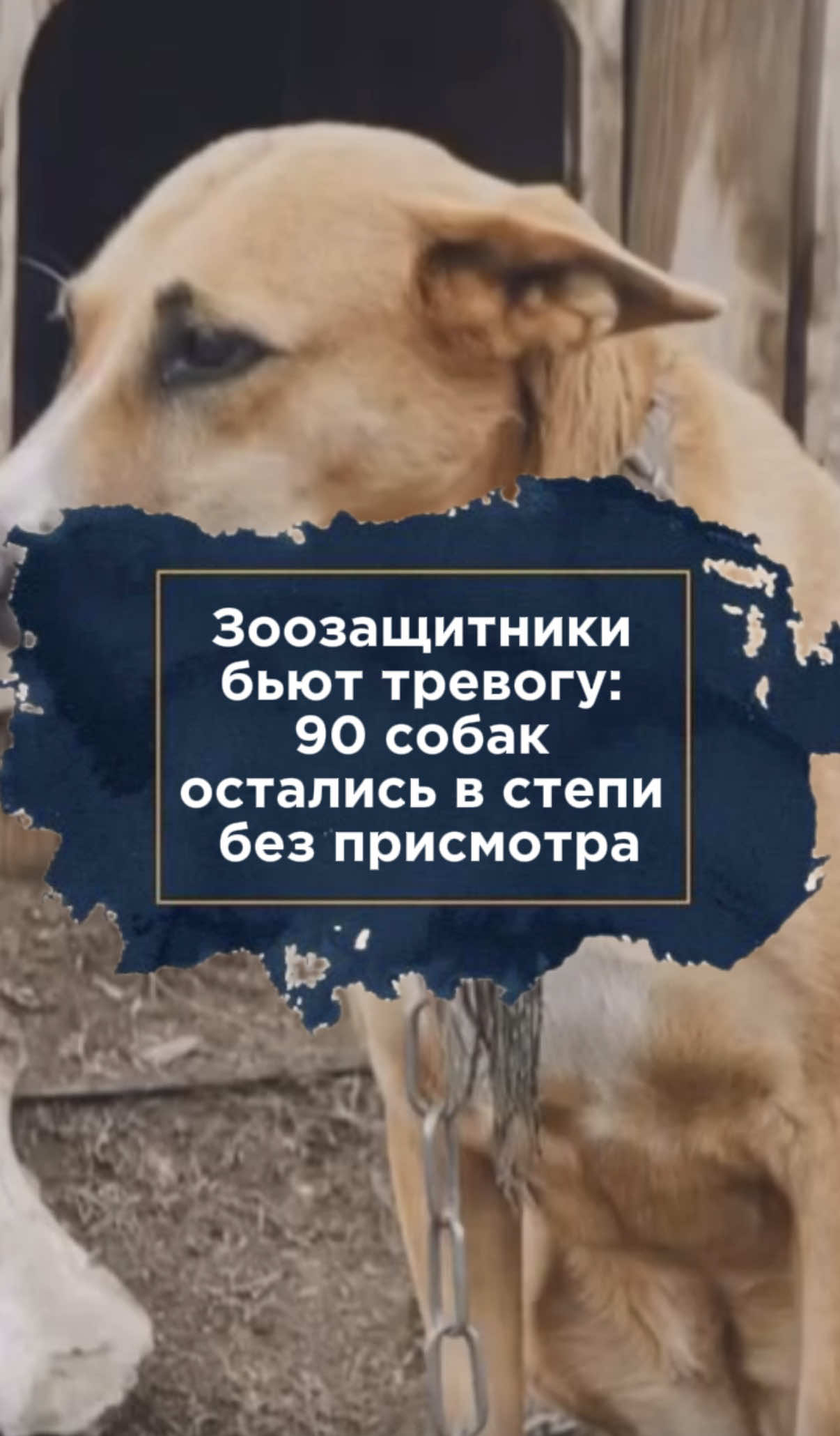 @zakon.kz ➡️ Новости Казахстана