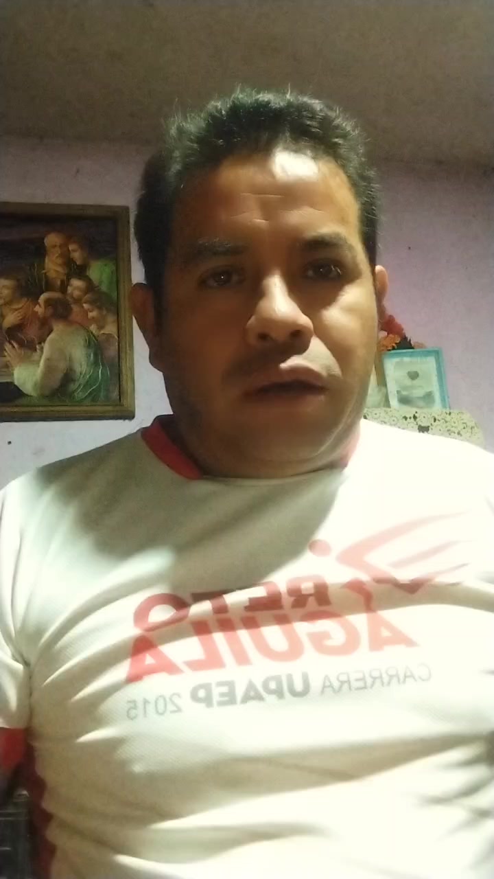@filips61