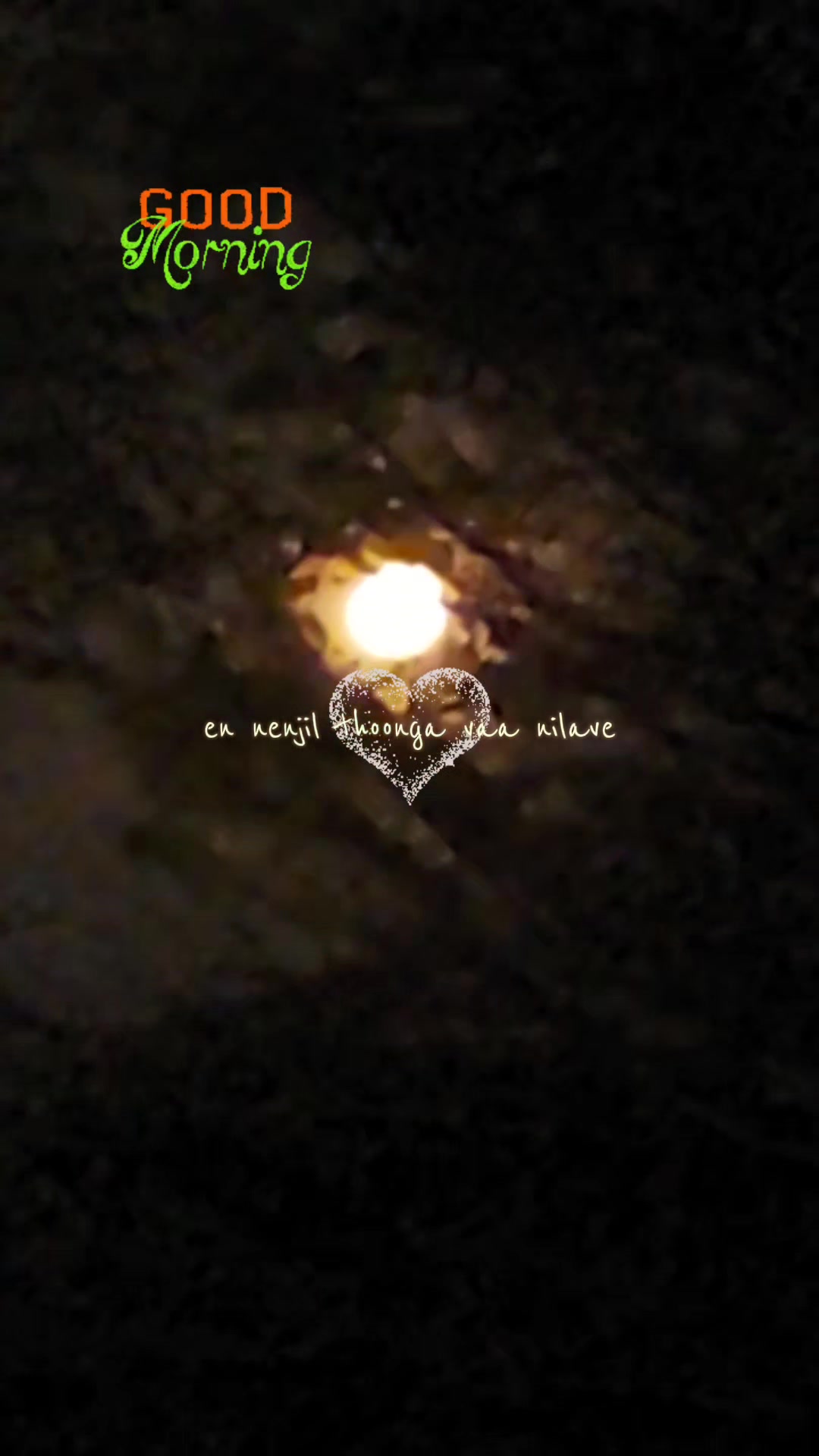 @✨️Anne De Sauza✨️