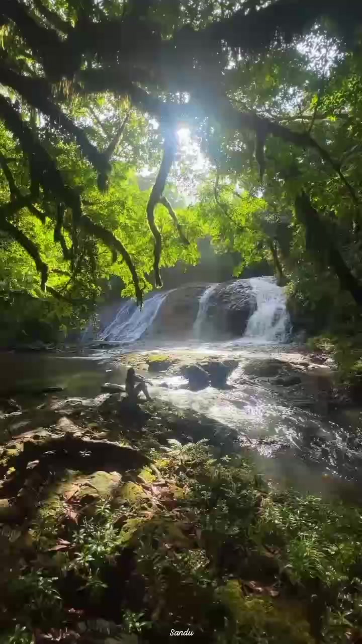 @🇱🇰- ගම්පොළ කැලුම්-🇱🇰